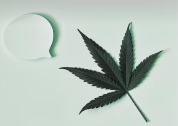 Screen Shot 2025-05-01 at 10.02.48 AM.png Screen Shot 2025-05-01 at 10.02.48 AM.png