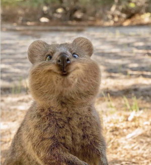 Screenshot 2025-05-07 at 8.40.48 AM.png Screenshot 2025-05-07 at 8.40.48 AM.png