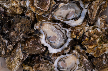 Screen Shot 2025-05-14 at 9.37.07 AM.png Screen Shot 2025-05-14 at 9.37.07 AM.png