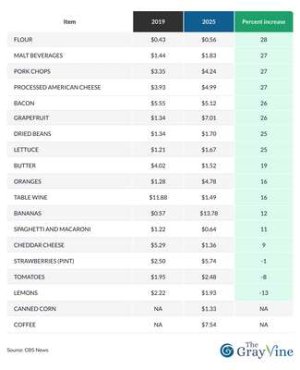 compressed-Items' price increase since 2019-1.jpeg compressed-Items' price increase since 2019-1.jpeg