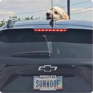 494351524_9965573630144863_6704466279446381857_n.jpg 494351524_9965573630144863_6704466279446381857_n.jpg