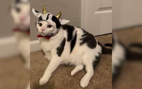 compressed-0.jpeg compressed-0.jpeg