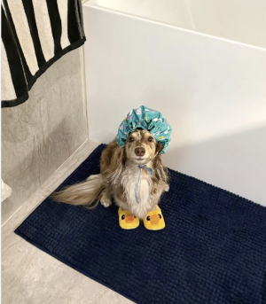 Screenshot 2025-05-19 at 6.14.17 PM.png Screenshot 2025-05-19 at 6.14.17 PM.png