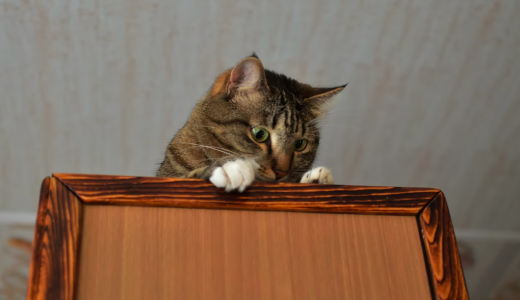 Screen Shot 2025-05-20 at 11.59.26 AM.png Screen Shot 2025-05-20 at 11.59.26 AM.png