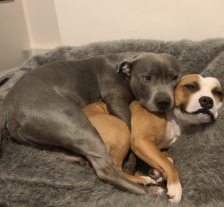 Screenshot 2025-05-21 at 9.06.12 AM.png Screenshot 2025-05-21 at 9.06.12 AM.png