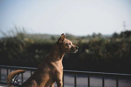 compressed-jason-murphy--PKzpx8x094-unsplash.jpeg compressed-jason-murphy--PKzpx8x094-unsplash.jpeg