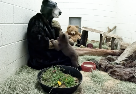 Screenshot 2025-05-22 at 13.08.10.png Screenshot 2025-05-22 at 13.08.10.png