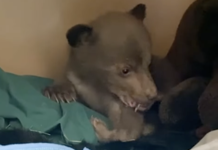 Screenshot 2025-05-22 at 13.08.32.png Screenshot 2025-05-22 at 13.08.32.png