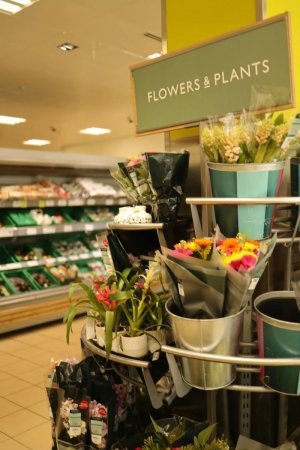 download (27).jpeg download (27).jpeg