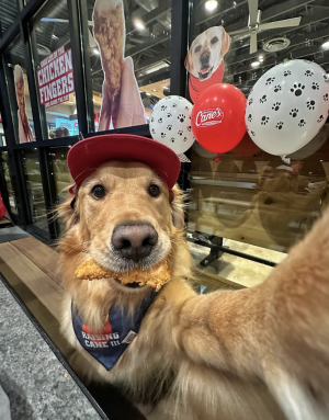 Screenshot 2025-05-28 at 1.02.34 PM.png Screenshot 2025-05-28 at 1.02.34 PM.png