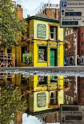 compressed-image (68).jpeg compressed-image (68).jpeg