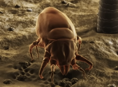 Screenshot 2025-05-28 at 10.37.33 PM.png Screenshot 2025-05-28 at 10.37.33 PM.png