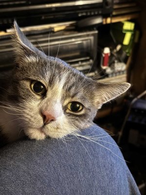 1000006659.jpg 1000006659.jpg