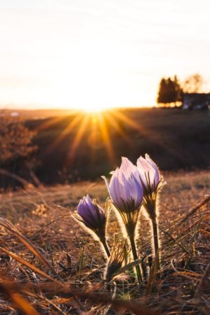 8qthwxim0kwa1 Medium.jpeg 8qthwxim0kwa1 Medium.jpeg