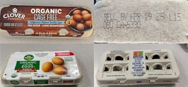 compressed-image (3).jpeg compressed-image (3).jpeg