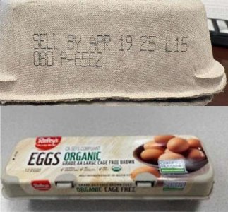 compressed-image (2).jpeg compressed-image (2).jpeg