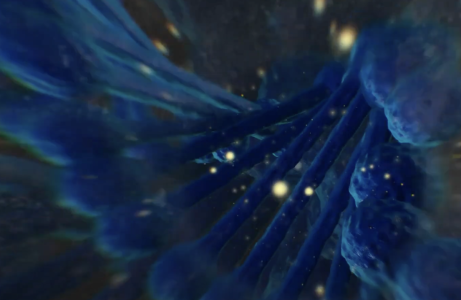 Screenshot 2025-06-08 at 11.19.45 PM.png Screenshot 2025-06-08 at 11.19.45 PM.png