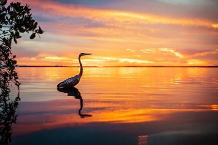 Photo of the day.jpg Photo of the day.jpg