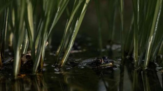 compressed-pexels-nolan-white-453702899-31038695.jpeg compressed-pexels-nolan-white-453702899-31038695.jpeg