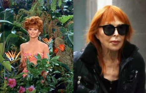 compressed-image.jpeg compressed-image.jpeg