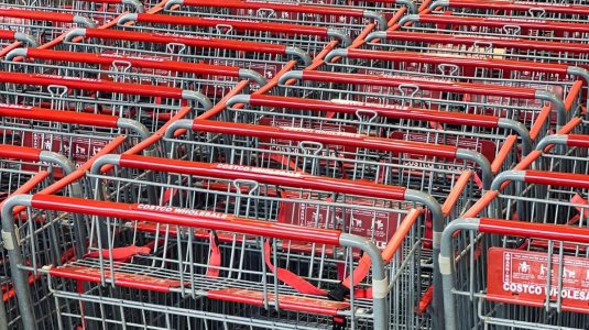 pexels-planka-28846952.jpg pexels-planka-28846952.jpg