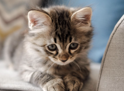 Screenshot 2025-06-12 at 14.26.22.png Screenshot 2025-06-12 at 14.26.22.png