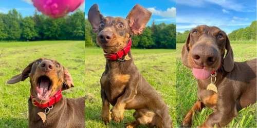 compressed-TGV (51).jpeg compressed-TGV (51).jpeg