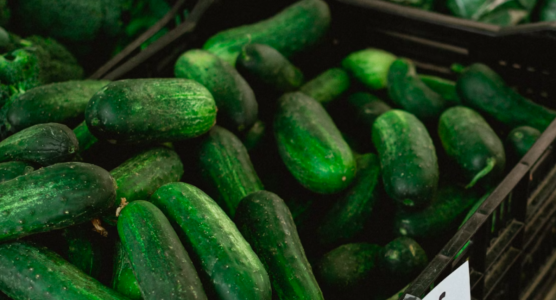 Screen Shot 2025-06-17 at 9.18.26 AM.png Screen Shot 2025-06-17 at 9.18.26 AM.png