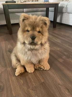 compressed-aotd.jpeg compressed-aotd.jpeg