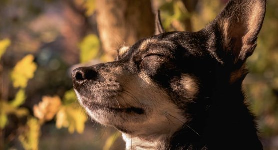 Screenshot 2025-06-19 at 7.44.47 PM.jpg Screenshot 2025-06-19 at 7.44.47 PM.jpg