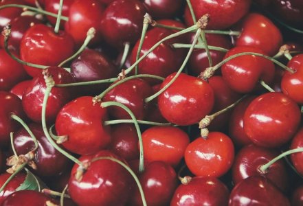 download (17).jpeg download (17).jpeg