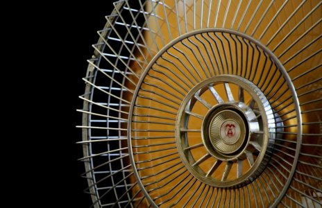 download (19).jpeg download (19).jpeg