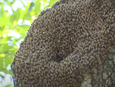 Screenshot 2025-06-22 at 10.39.59 PM.png Screenshot 2025-06-22 at 10.39.59 PM.png