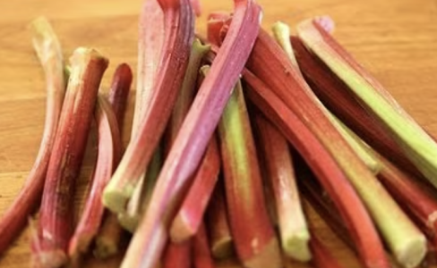 Screenshot 2025-06-24 at 12.54.04 AM.png