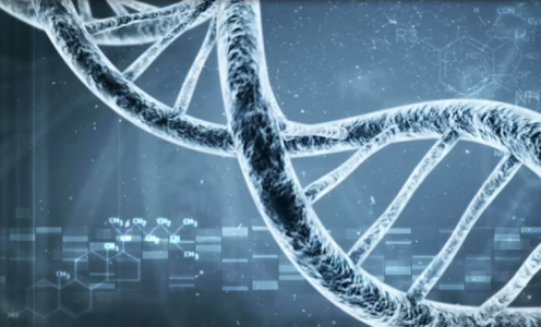 Screenshot 2025-06-24 at 11.29.09 PM.png Screenshot 2025-06-24 at 11.29.09 PM.png