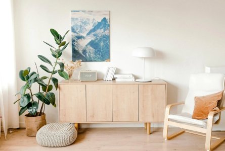 download (12).jpeg download (12).jpeg