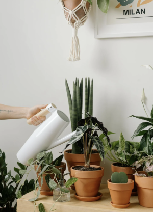 Screenshot 2025-06-30 at 11.59.00 PM.png Screenshot 2025-06-30 at 11.59.00 PM.png