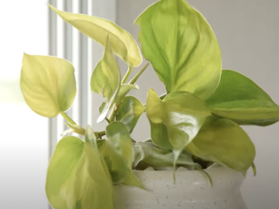 Screenshot 2025-07-01 at 12.02.47 AM.png Screenshot 2025-07-01 at 12.02.47 AM.png