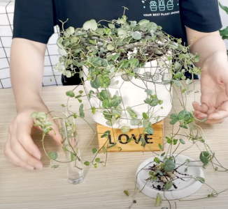 Screenshot 2025-07-01 at 12.09.22 AM.png Screenshot 2025-07-01 at 12.09.22 AM.png