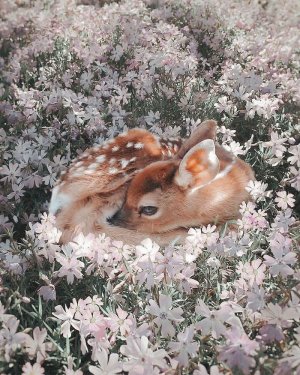 32cnpo33ycbf1.jpeg 32cnpo33ycbf1.jpeg