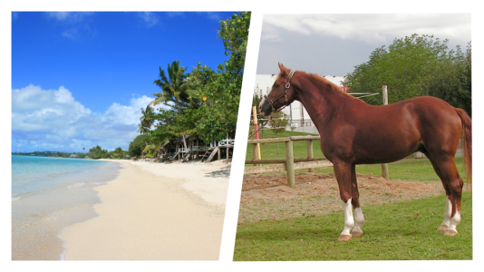 Nxsi1iZWiCeNfFj7_i6en1q49n-U1_vGqYkDUPfiZX8 (1).png Nxsi1iZWiCeNfFj7_i6en1q49n-U1_vGqYkDUPfiZX8 (1).png