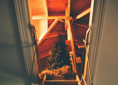 download (5).jpeg download (5).jpeg