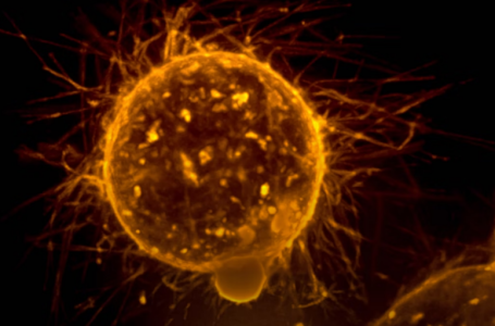 Capture.PNG Capture.PNG