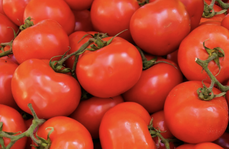 Screenshot 2025-07-10 at 8.46.23 PM.png Screenshot 2025-07-10 at 8.46.23 PM.png