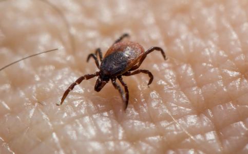 Screenshot 2025-07-10 at 11.42.57 PM.png Screenshot 2025-07-10 at 11.42.57 PM.png