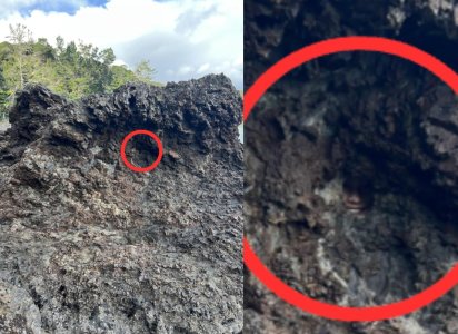 download (6).jpeg download (6).jpeg