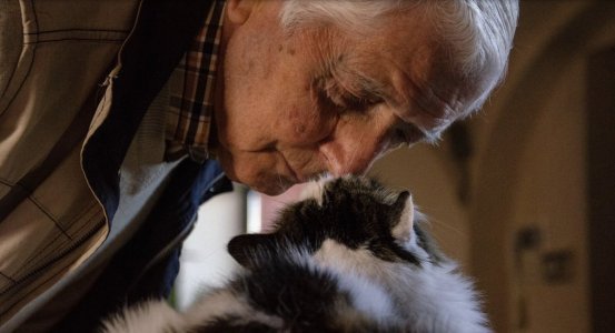 Screenshot 2025-07-15 at 10.50.24 AM.jpg Screenshot 2025-07-15 at 10.50.24 AM.jpg