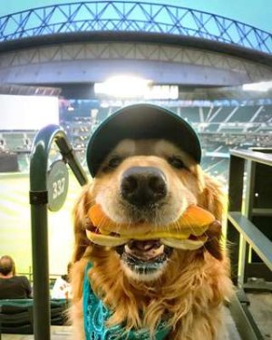 compressed-g9w2q9iq3ok11.jpeg compressed-g9w2q9iq3ok11.jpeg