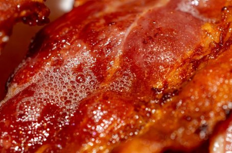 download (11).jpeg download (11).jpeg