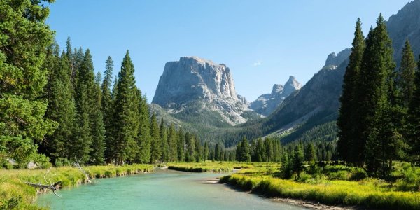 dbmzrxn3tstd1 Large.jpeg dbmzrxn3tstd1 Large.jpeg